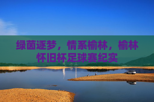 绿茵逐梦，情系榆林，榆林怀旧杯足球赛纪实