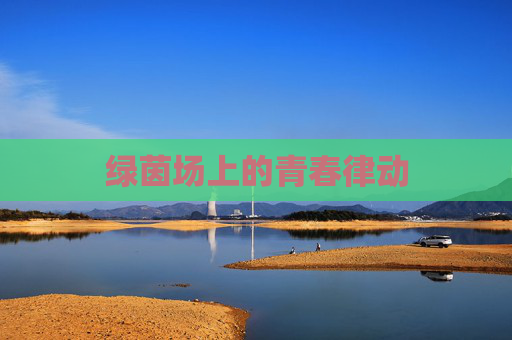 绿茵场上的青春律动