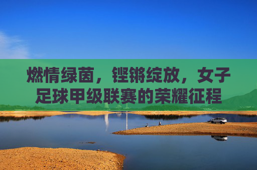 燃情绿茵，铿锵绽放，女子足球甲级联赛的荣耀征程