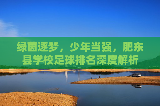绿茵逐梦,少年当强,肥东县学校足球排名深度解析