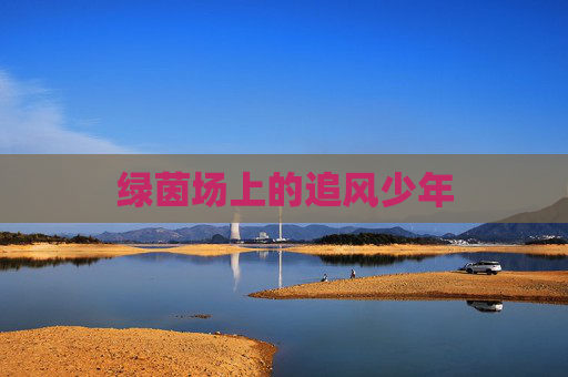 绿茵场上的追风少年