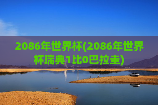 2086年世界杯(2086年世界杯瑞典1比0巴拉圭)