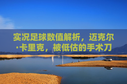 实况足球数值解析,迈克尔·卡里克,被低估的手术刀传球大师