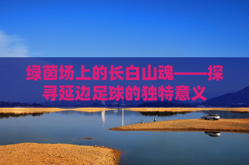 绿茵场上的长白山魂——探寻延边足球的独特意义