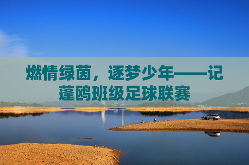 燃情绿茵,逐梦少年——记蓬鸥班级足球联赛