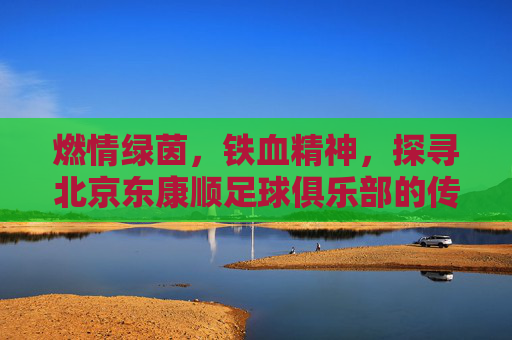 燃情绿茵,铁血精神,探寻北京东康顺足球俱乐部的传奇之路