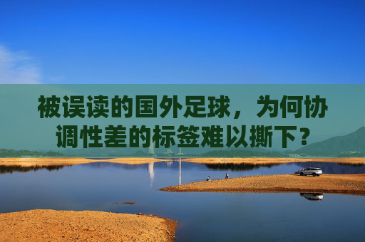 被误读的国外足球,为何协调性差的标签难以撕下?