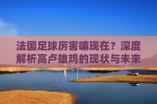 法国足球厉害嘛现在?深度解析高卢雄鸡的现状与未来