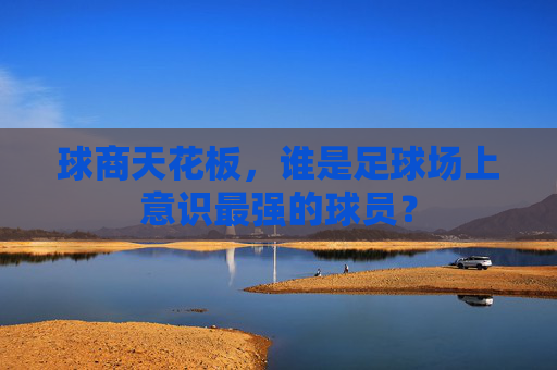 球商天花板,谁是足球场上意识最强的球员?