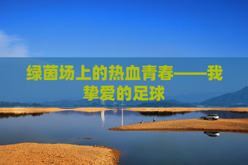 绿茵场上的热血青春——我挚爱的足球