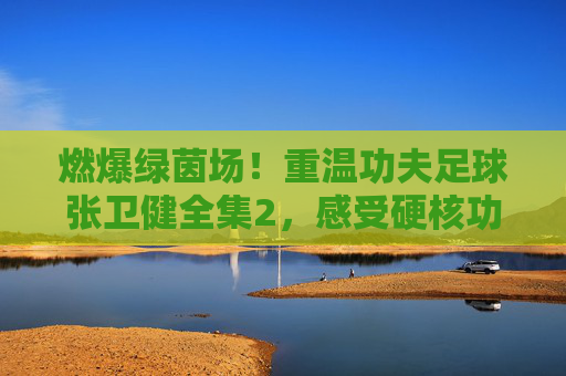 燃爆绿茵场！重温功夫足球张卫健全集2，感受硬核功夫与足球的完美碰撞