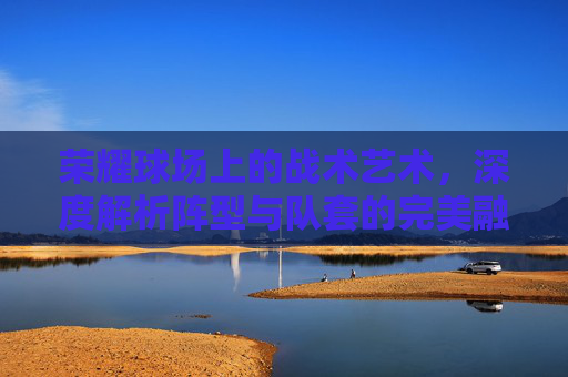 荣耀球场上的战术艺术,深度解析阵型与队套的完美融合