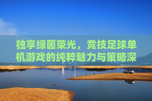 独享绿茵荣光,竞技足球单机游戏的纯粹魅力与策略深度