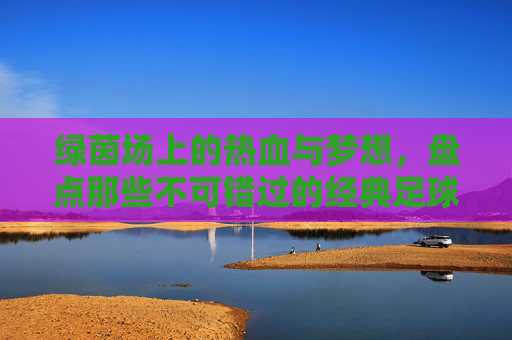 绿茵场上的热血与梦想,盘点那些不可错过的经典足球电影