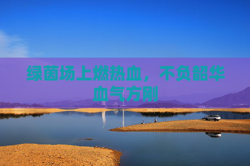 绿茵场上燃热血,不负韶华血气方刚