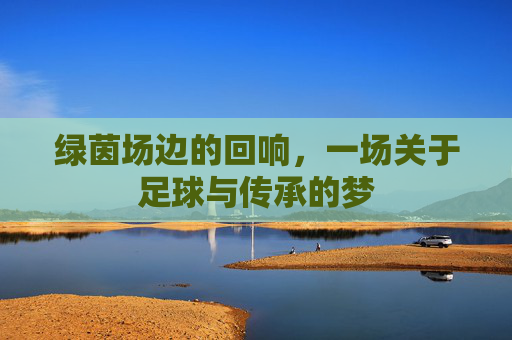 绿茵场边的回响,一场关于足球与传承的梦