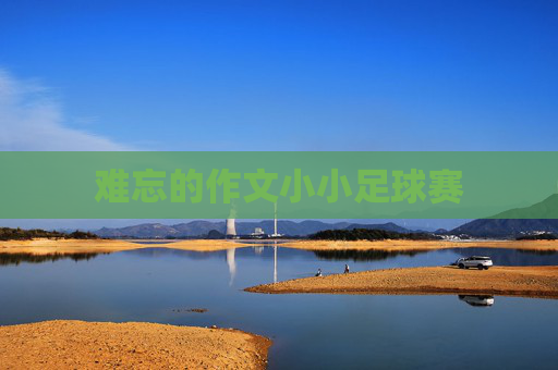 难忘的作文小小足球赛
