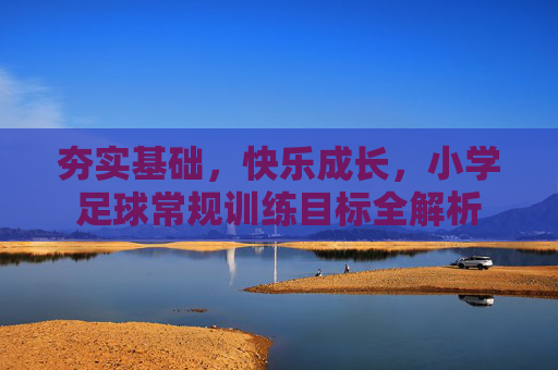 夯实基础,快乐成长,小学足球常规训练目标全解析