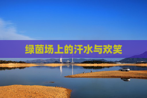 绿茵场上的汗水与欢笑