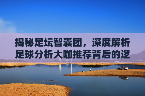 揭秘足坛智囊团,深度解析足球分析大咖推荐背后的逻辑与价值