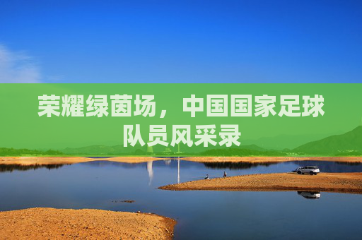 荣耀绿茵场,中国国家足球队员风采录