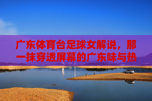 广东体育台足球女解说,那一抹穿透屏幕的广东味与热血