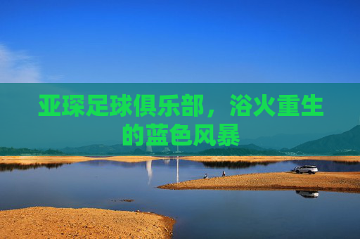亚琛足球俱乐部，浴火重生的蓝色风暴