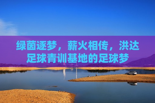 绿茵逐梦,薪火相传,洪达足球青训基地的足球梦