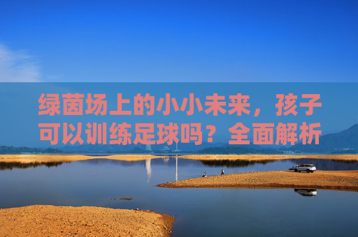 绿茵场上的小小未来,孩子可以训练足球吗?全面解析儿童足球启蒙的价值与注意事项