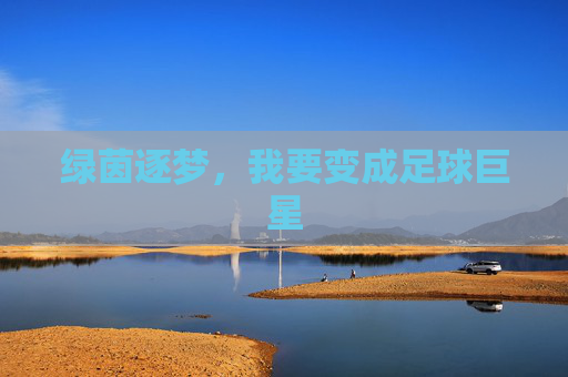 绿茵逐梦,我要变成足球巨星