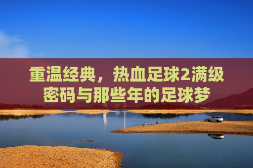 重温经典,热血足球2满级密码与那些年的足球梦