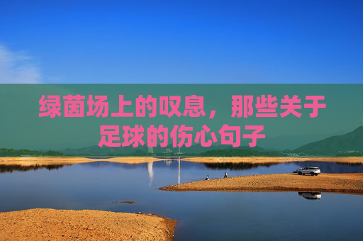 绿茵场上的叹息，那些关于足球的伤心句子