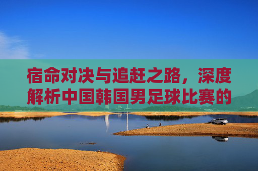 宿命对决与追赶之路,深度解析中国韩国男足球比赛的博弈与差距