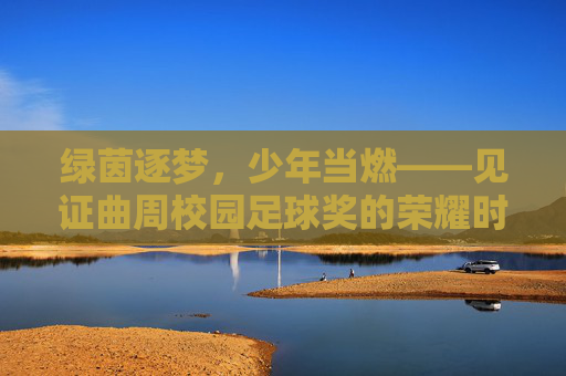 绿茵逐梦,少年当燃——见证曲周校园足球奖的荣耀时刻