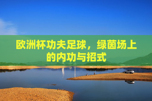 欧洲杯功夫足球,绿茵场上的内功与招式