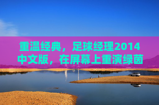 重温经典,足球经理2014中文版,在屏幕上重演绿茵场风云