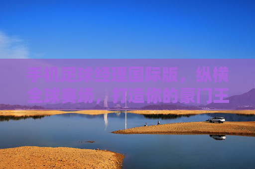 手机足球经理国际版，纵横全球赛场，打造你的豪门王朝