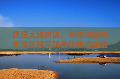 足坛大牌对决,全方位解析主流足球品牌的优缺点与选购指南