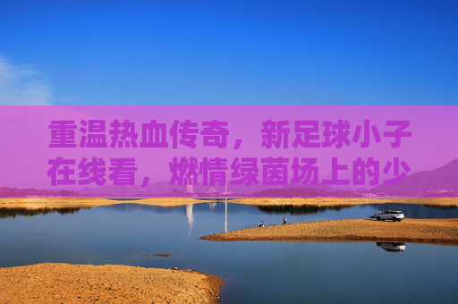 重温热血传奇，新足球小子在线看，燃情绿茵场上的少年梦