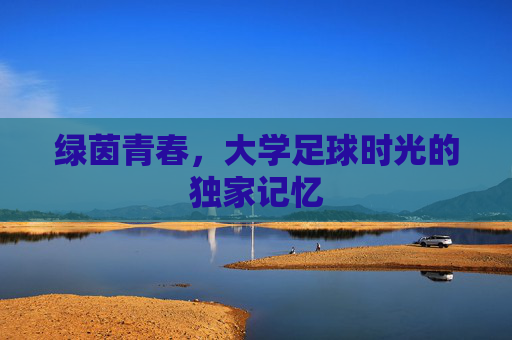 绿茵青春,大学足球时光的独家记忆