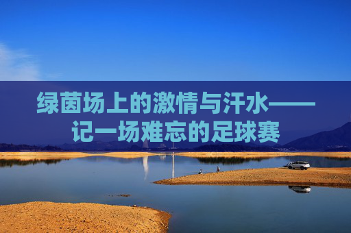 绿茵场上的激情与汗水——记一场难忘的足球赛