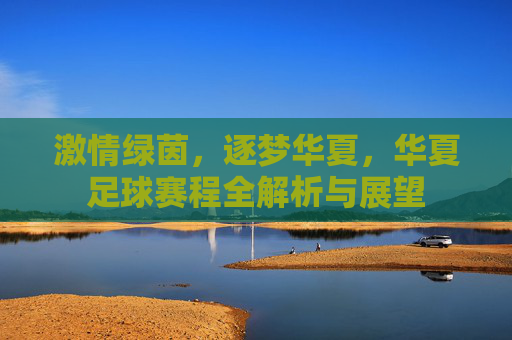 激情绿茵,逐梦华夏,华夏足球赛程全解析与展望