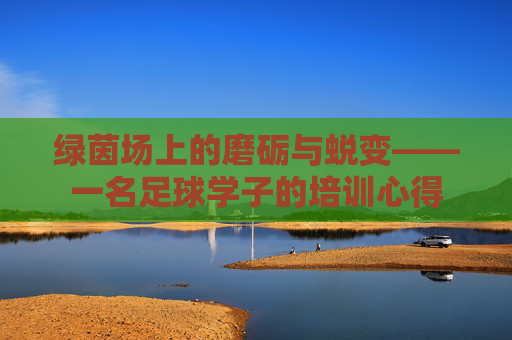 绿茵场上的磨砺与蜕变——一名足球学子的培训心得