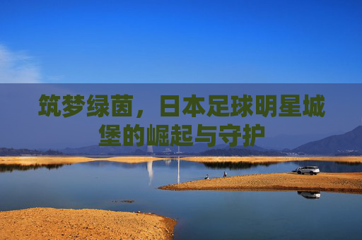 筑梦绿茵，日本足球明星城堡的崛起与守护