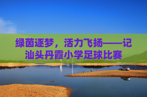 绿茵逐梦，活力飞扬——记汕头丹霞小学足球比赛