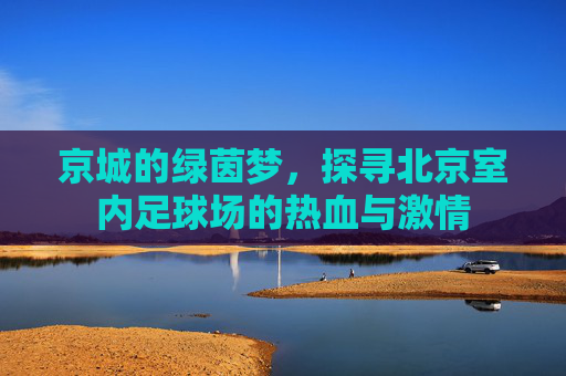 京城的绿茵梦,探寻北京室内足球场的热血与激情