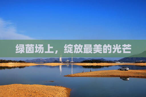 绿茵场上，绽放最美的光芒