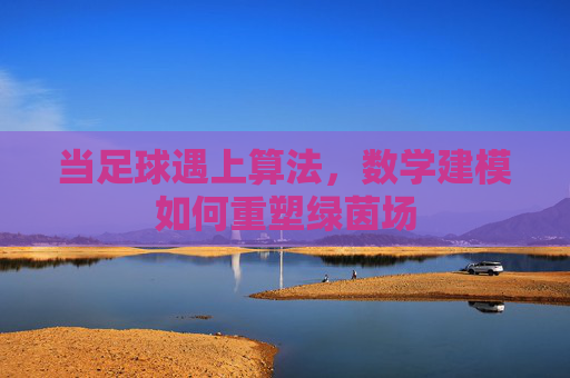 当足球遇上算法,数学建模如何重塑绿茵场