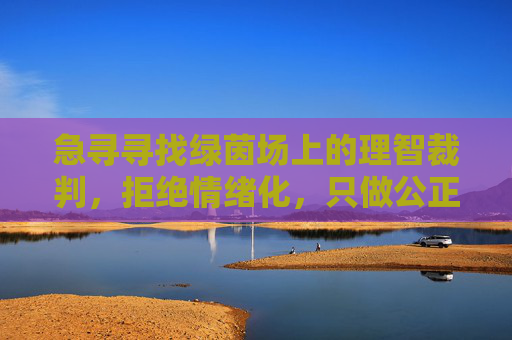 急寻寻找绿茵场上的理智裁判,拒绝情绪化,只做公正的守望者