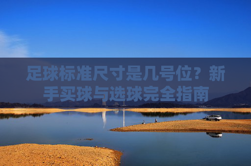 足球标准尺寸是几号位?新手买球与选球完全指南